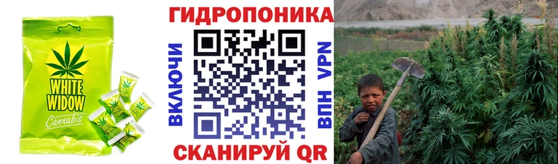 Cannafood конопля  Салават 