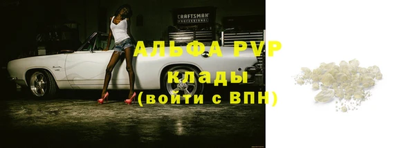 стаф Аркадак