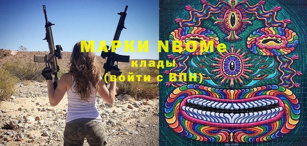 стаф Аркадак