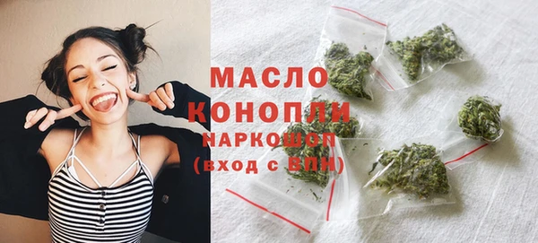 стаф Аркадак