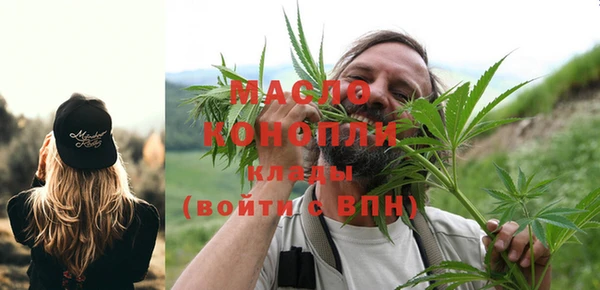 стаф Аркадак