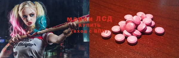 стаф Аркадак