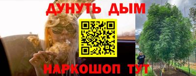 гидропоника Ачхой-Мартан