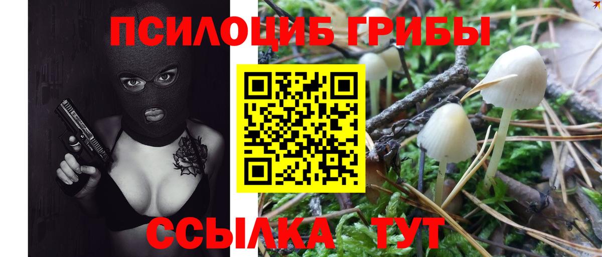 Псилоцибиновые грибы прущие грибы Салават